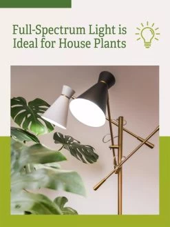 Adjustable 3-Arm Grow Lamp -Gardenhaus Shop 3 Arm 1