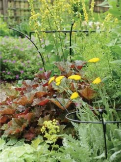 Essex Plant Supports -Gardenhaus Shop 37423 280 tif