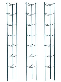 Tomato Ladders, Set Of 3 10 Tomato Ladders, Set Of 3 -Gardenhaus Shop 38184 002E psd