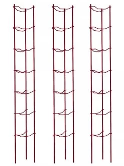 Tomato Ladders, Set Of 3 11 Tomato Ladders, Set Of 3 -Gardenhaus Shop 38185 002E psd