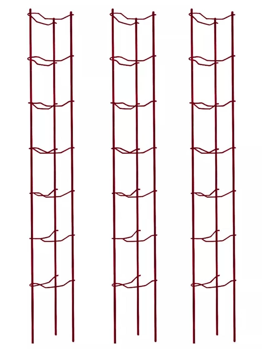 Tomato Ladders, Set Of 3 6 Tomato Ladders, Set Of 3 - Image 4
