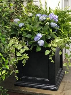 Fairfield Self-Watering Square Planter, 20” X 20” -Gardenhaus Shop 39 618 205V tif