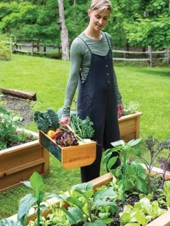 Garden Hods -Gardenhaus Shop 39 761 0146 tif