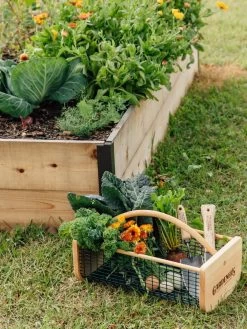 Garden Hods -Gardenhaus Shop 39 761 572 tif