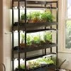 3-Tier Sunlite® Garden -Gardenhaus Shop 39357 004 grow lights with three shelves large tif