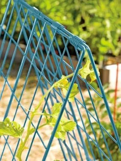Deluxe Cucumber Trellis 14 Deluxe Cucumber Trellis -Gardenhaus Shop 39806 BLUE 100 tif