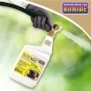 Bonide® MoleMax Spray -Gardenhaus Shop 3 4 crop 37 594 01V 3 4
