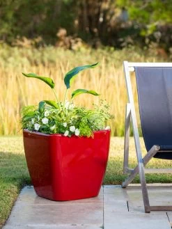 Viva Square Self-Watering Rolling Planter, 20" Diameter, Set Of 2 -Gardenhaus Shop 3 4 crop 8612930 0035 tif