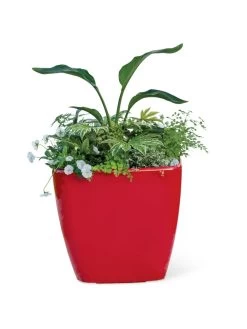 Viva Square Self-Watering Rolling Planter, 20" Diameter, Set Of 2 -Gardenhaus Shop 3 4 crop 8612930 0037 tif