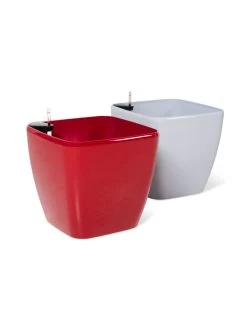 Viva Square Self-Watering Rolling Planter, 20" Diameter, Set Of 2 -Gardenhaus Shop 3 4 crop 8612930 0104