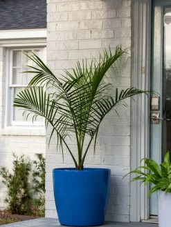 Viva Round Self-Watering Rolling Planter, 20" Diameter, Set Of 2 -Gardenhaus Shop 3 4 crop 8612933 0024 tif