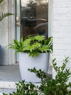 Viva Round Self-Watering Rolling Planter, 20" Diameter, Set Of 2 -Gardenhaus Shop 3 4 crop 8612933 0025 tif