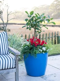 Viva Round Self-Watering Rolling Planter, 20" Diameter, Set Of 2 -Gardenhaus Shop 3 4 crop 8612933 5312 tif