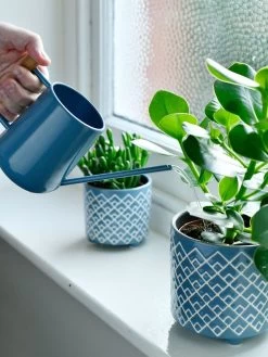 Pinpoint Indoor Watering Can -Gardenhaus Shop 3 4 crop 8612963 03V tif