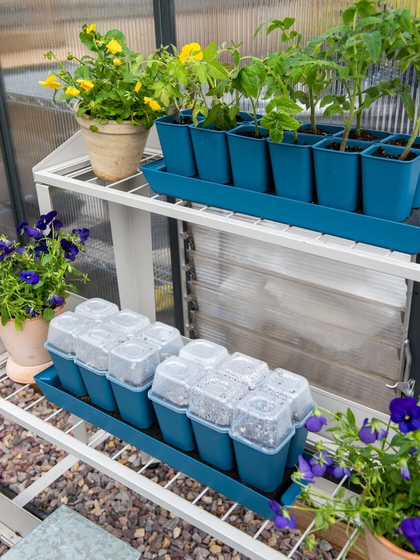 Gardener's Best® Humidity Dome, Set Of 2 4 Gardener's Best® Humidity Dome, Set Of 2 - Image 2