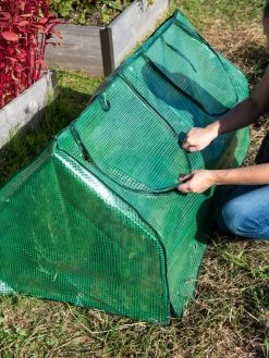 Multi Cloche -Gardenhaus Shop 3 4 crop 8613213 0250