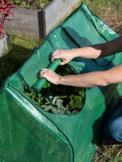 Multi Cloche -Gardenhaus Shop 3 4 crop 8613213 0265