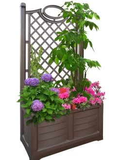 Separate Flower Box With Trellis -Gardenhaus Shop 3 4 crop 8613626 04V