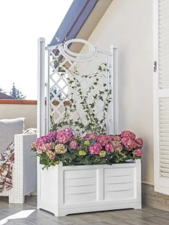Separate Flower Box With Trellis -Gardenhaus Shop 3 4 crop 8613626 11V