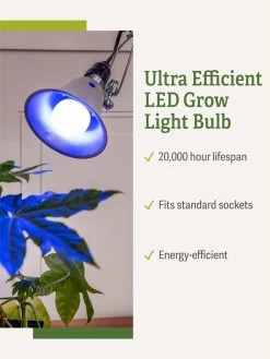 Miracle LED® Grow Light Bulb, Blue -Gardenhaus Shop 3 4 crop Miracle Bulb Blue 1