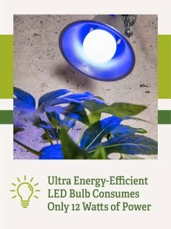 Miracle LED® Grow Light Bulb, Blue -Gardenhaus Shop 3 4 crop Miracle Bulb Blue 2