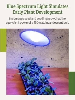 Miracle LED® Grow Light Bulb, Blue -Gardenhaus Shop 3 4 crop Miracle Bulb Blue 3