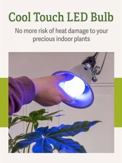 Miracle LED® Grow Light Bulb, Blue -Gardenhaus Shop 3 4 crop Miracle Bulb Blue 4