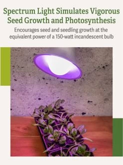 Miracle LED® Grow Light Bulb, Red And Blue -Gardenhaus Shop 3 4 crop Miracle Bulb RB 3