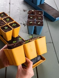 Coco Coir Seed Starting Mix -Gardenhaus Shop 40 135 6192