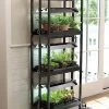 Compact 3-Tier SunLite® Garden -Gardenhaus Shop 40161 002 grow lights with three shelves small tif