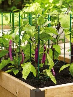 Pepper And Eggplant Stakes, Set Of 3 -Gardenhaus Shop 40308 2116 tif