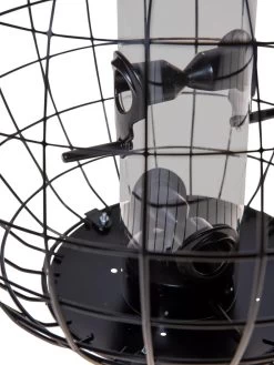 Mixed Seed Globe Cage Feeder -Gardenhaus Shop 8586659 6400