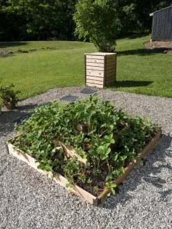 3-Tier Strawberry Bed -Gardenhaus Shop 8586752 2341 tif