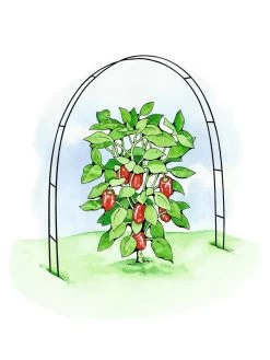 Super Hoops, Set Of 6 -Gardenhaus Shop 8586835 02S tif