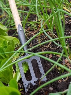 Gardener's Lifetime Spork -Gardenhaus Shop 8586973 2383 tif