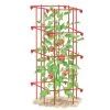 Tomato Cage, Single -Gardenhaus Shop 8587039 TomatoCage tif