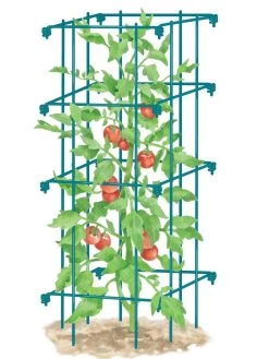 Tomato Cage, Single -Gardenhaus Shop 8587039 TomatoCage BLUE tif