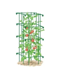 Tomato Cage, Single -Gardenhaus Shop 8587039 TomatoCage GRN tif