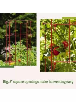 Tomato Cages, Set Of 4 -Gardenhaus Shop 8587040 2