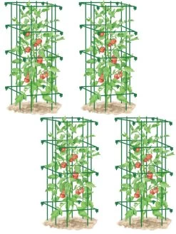 Tomato Cages, Set Of 4 -Gardenhaus Shop 8587040 GR 001E tif