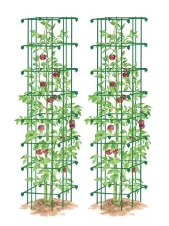 Tomato Towers, Set Of 2 -Gardenhaus Shop 8587041 0006 GRN tif