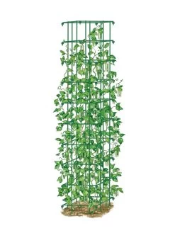 Bean Tower -Gardenhaus Shop 8587060 0008 GRN tif