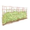 Expandable Pea Trellis -Gardenhaus Shop 8587061 PeaFence Red 001E tif