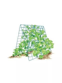 Deluxe Cucumber Trellis 17 Deluxe Cucumber Trellis -Gardenhaus Shop 8587083 001 BLUE Cukes two sided deluxe cucumber trellis support storm blue 3 4