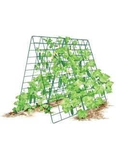Deluxe Cucumber Trellis 16 Deluxe Cucumber Trellis -Gardenhaus Shop 8587083 001 GRN tif