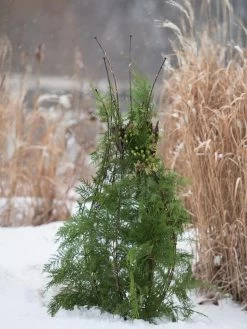 Jardin Pot Trellis -Gardenhaus Shop 8587120 009 tif