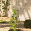 Jardin Pot Trellis -Gardenhaus Shop 8587120 224 tif