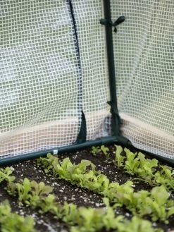 Protection Frame & Covers, 2' X 4' -Gardenhaus Shop 8587631 271 tif