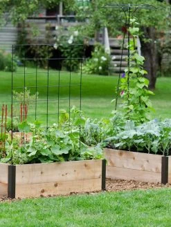 Deep Root Raised Beds, 14" Deep 4' Wide -Gardenhaus Shop 8587812 7054 tif