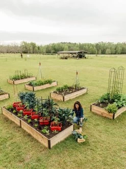 Deep Root Raised Beds, 14" Deep 4' Wide -Gardenhaus Shop 8587813 505 tif